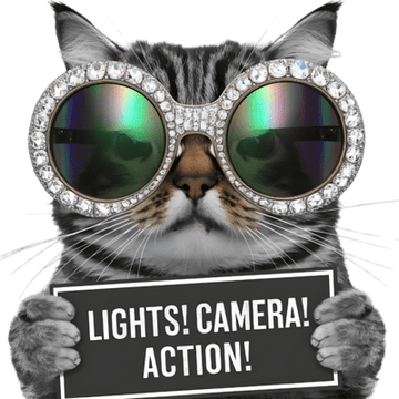 Lights Camera Action Typography (85)